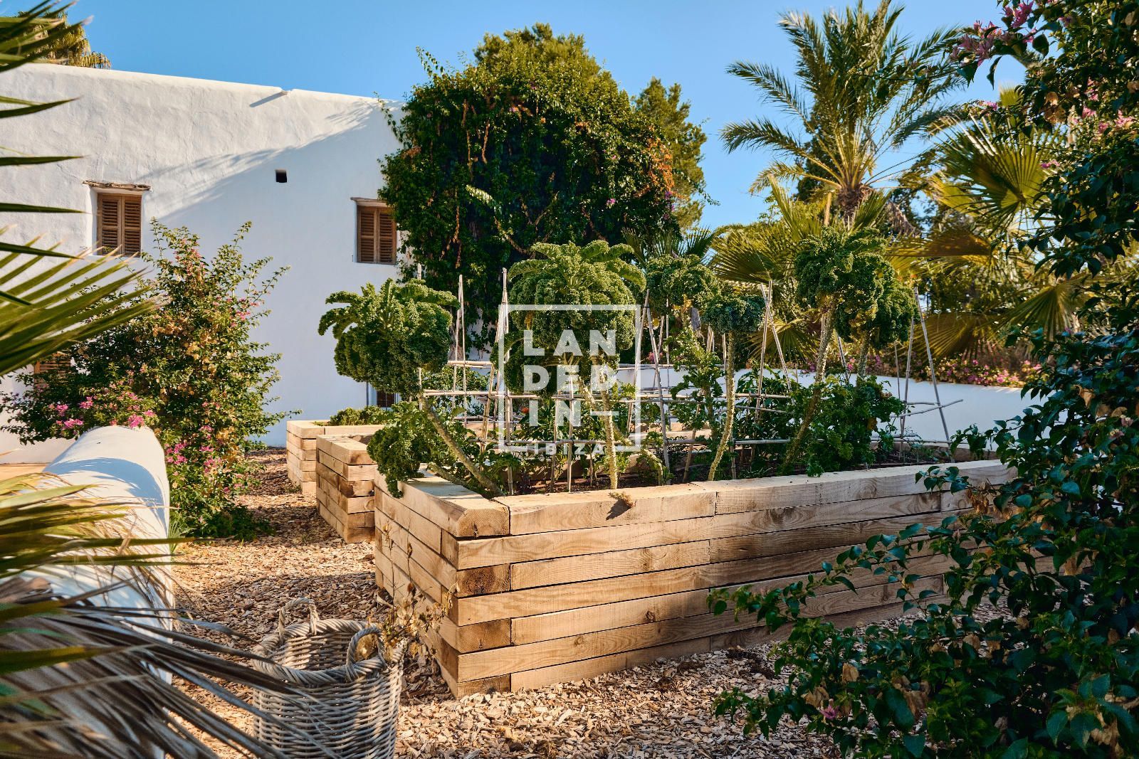 Imagen 15 del inmueble