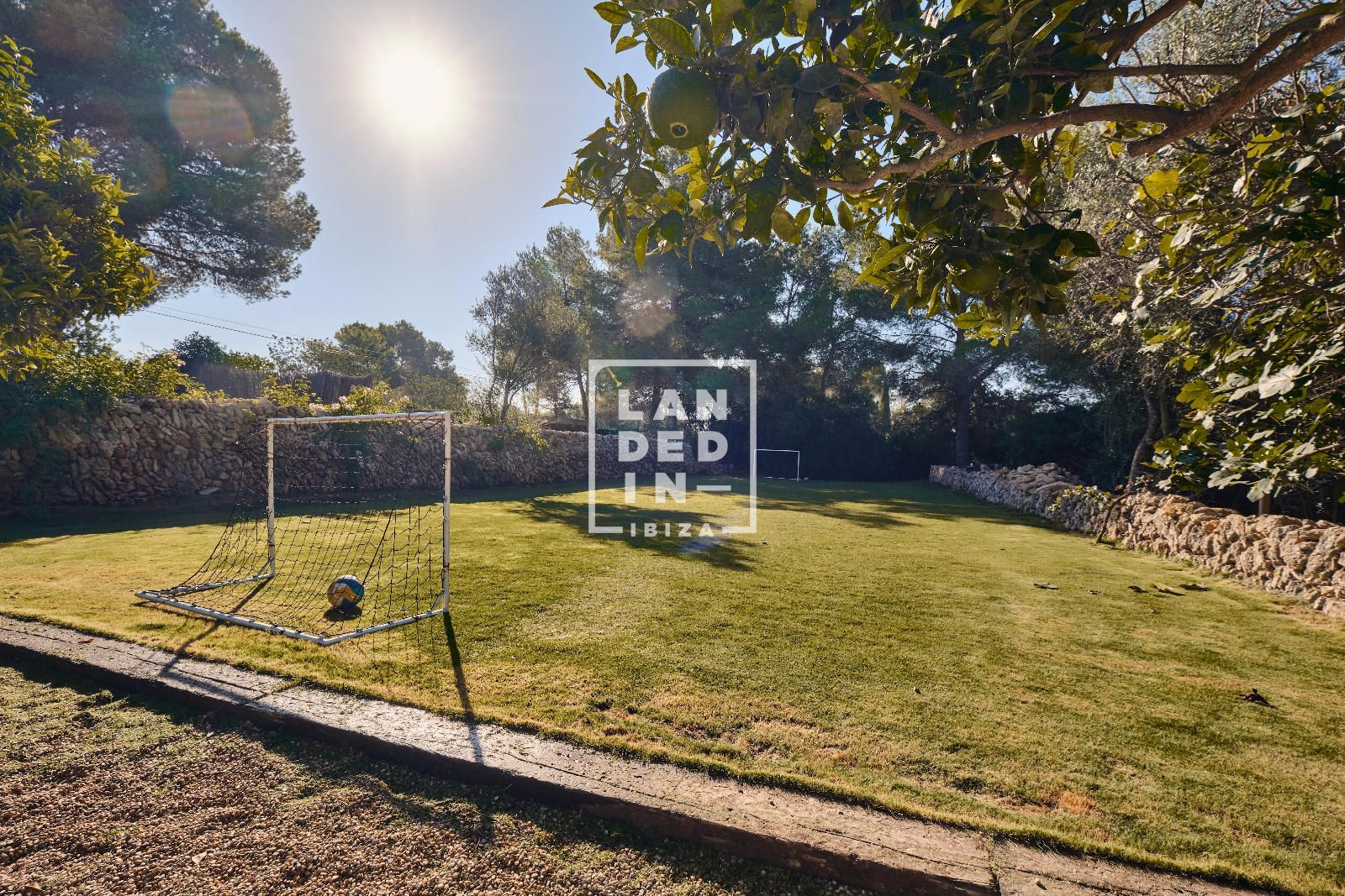 Imagen 16 del inmueble