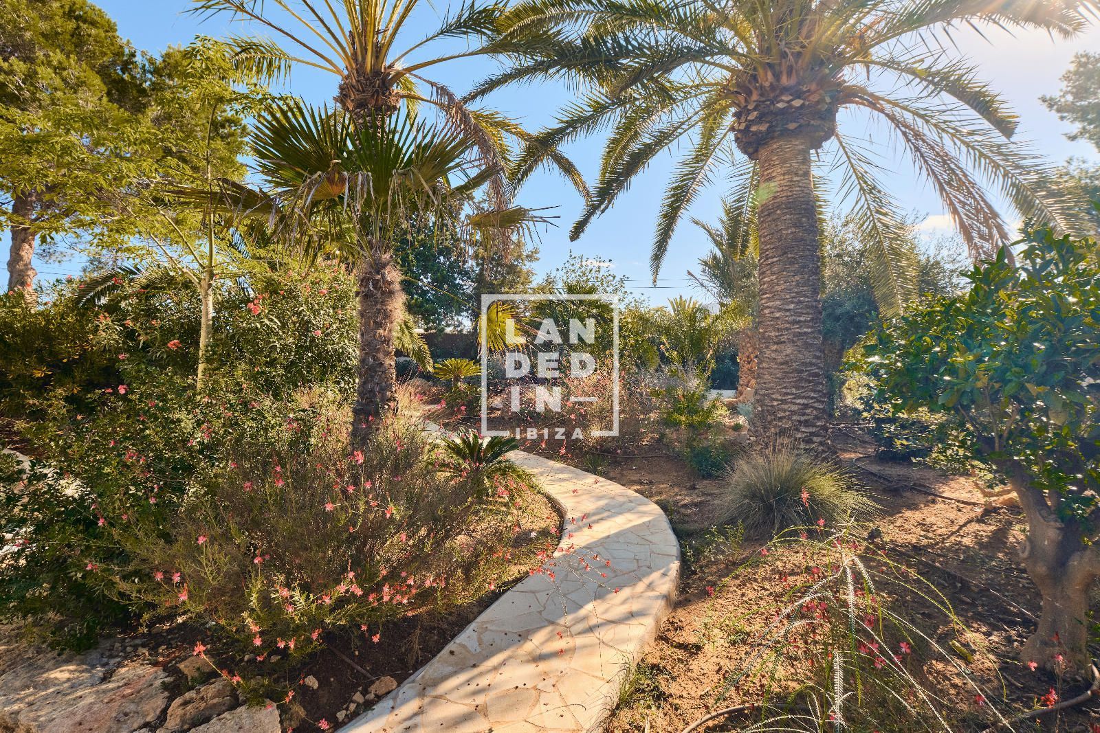 Imagen 14 del inmueble