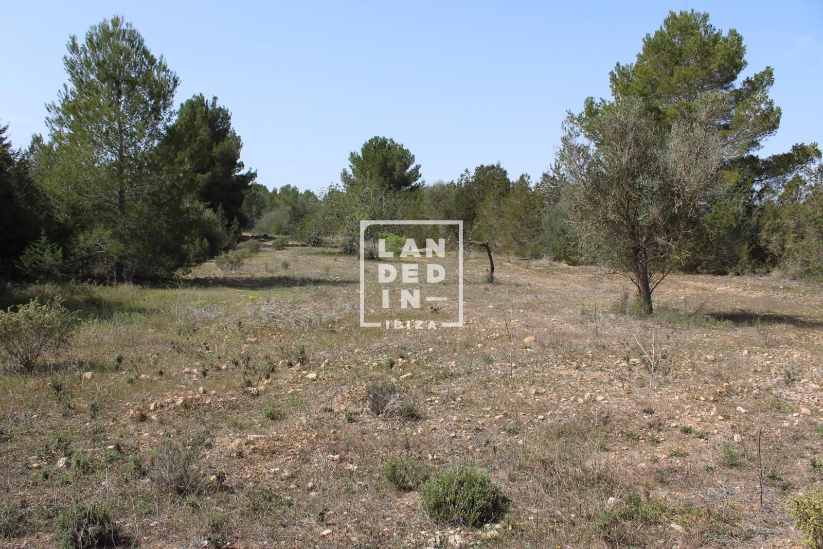 Imagen 3 del inmueble