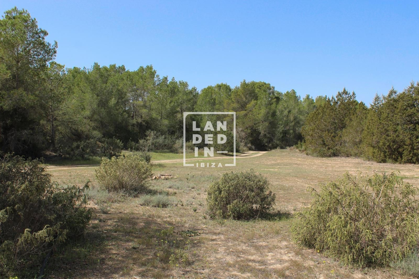 Imagen 5 del inmueble