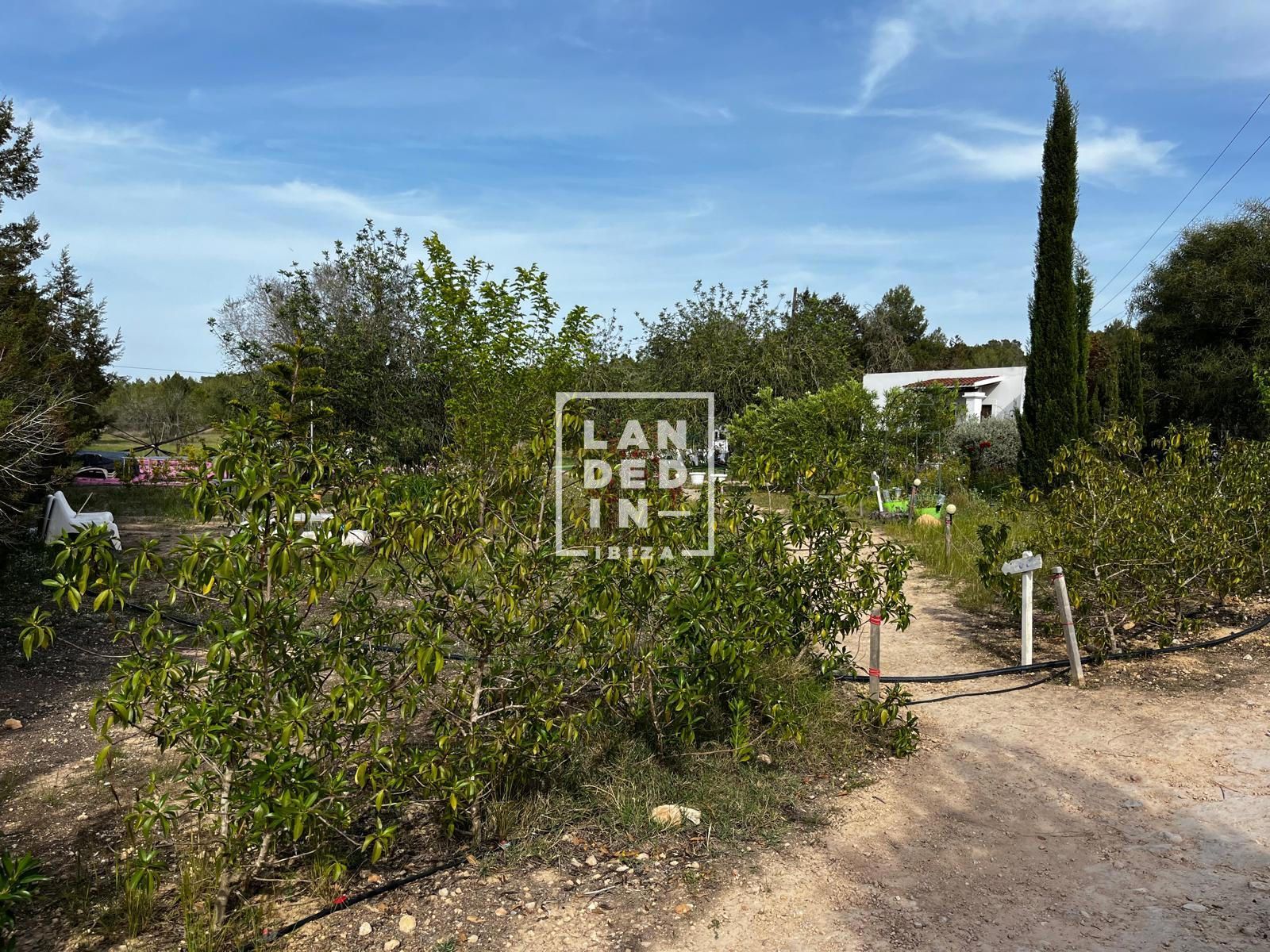 Imagen 8 del inmueble