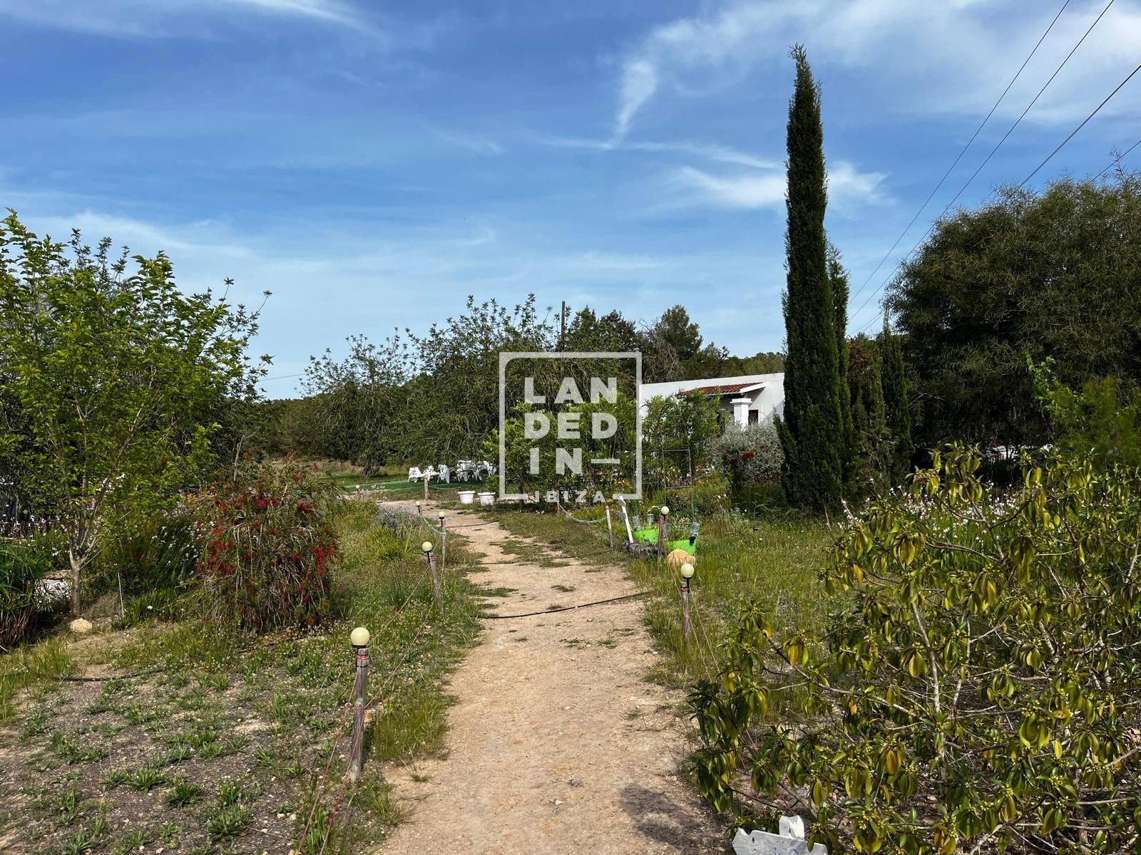 Imagen 9 del inmueble