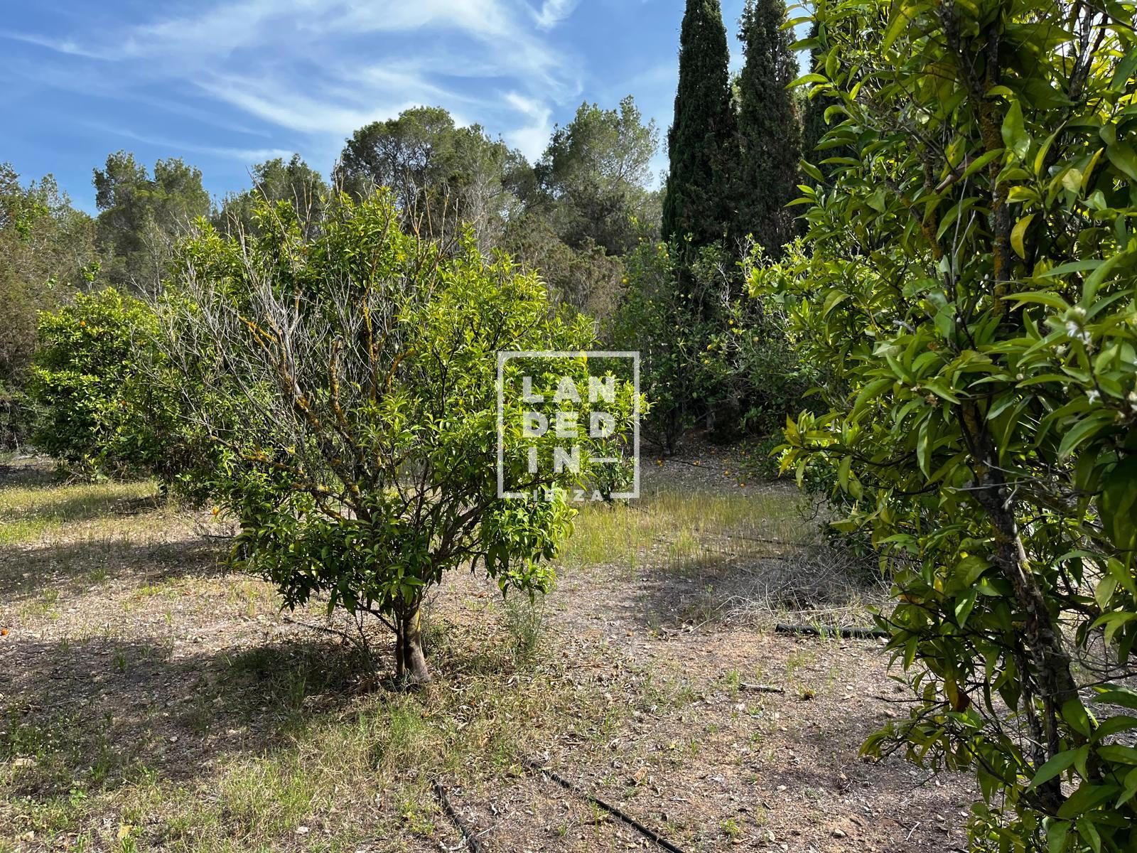 Imagen 10 del inmueble