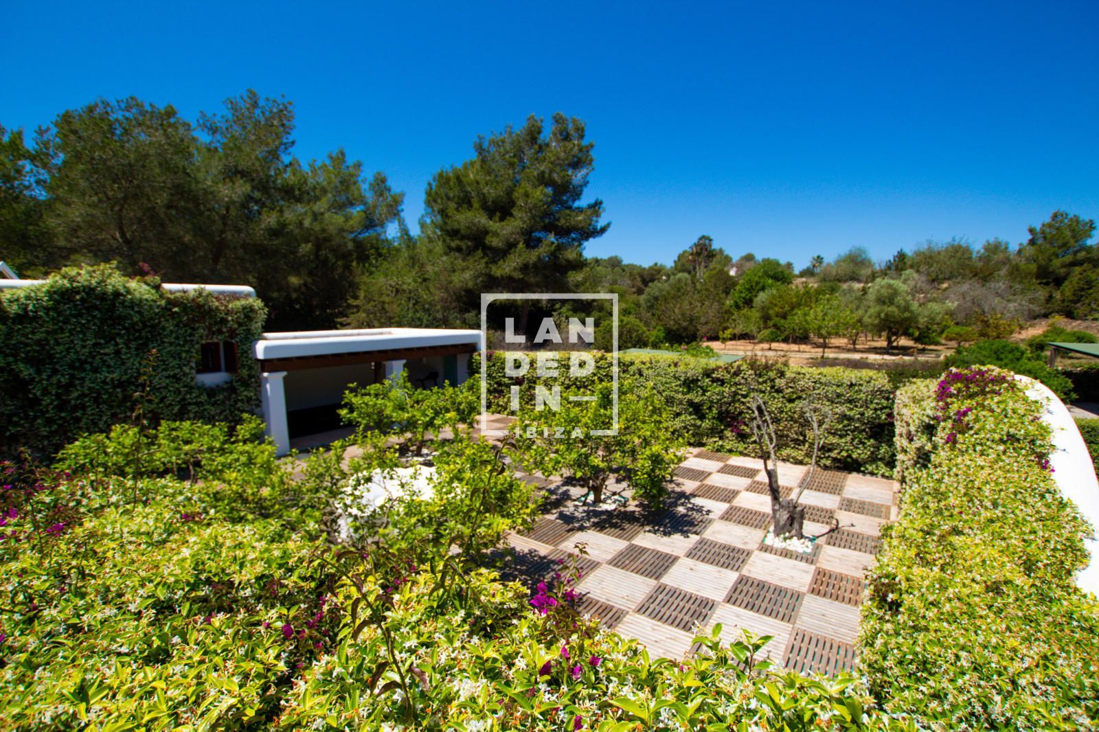 Imagen 24 del inmueble