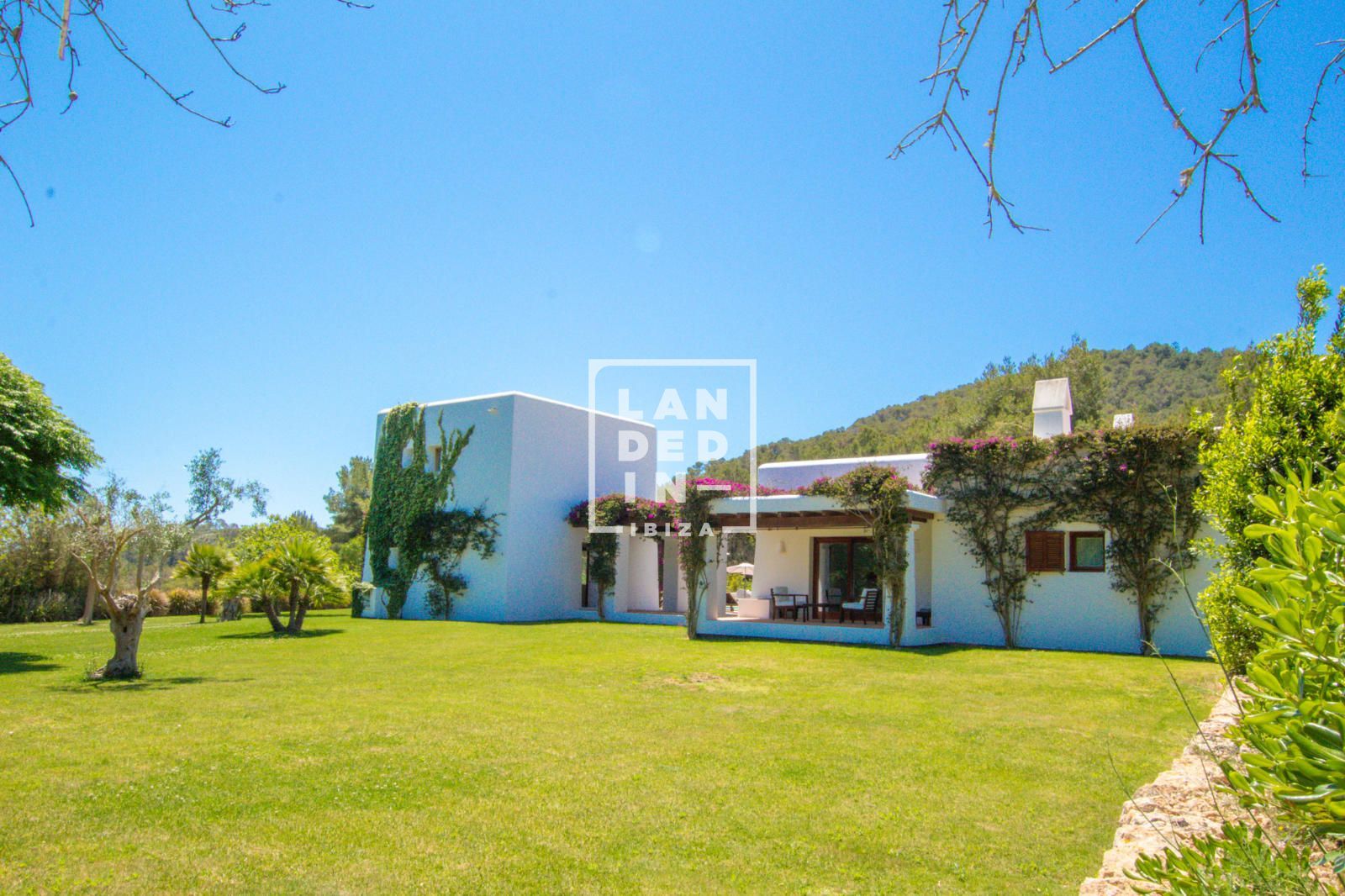 Imagen 25 del inmueble