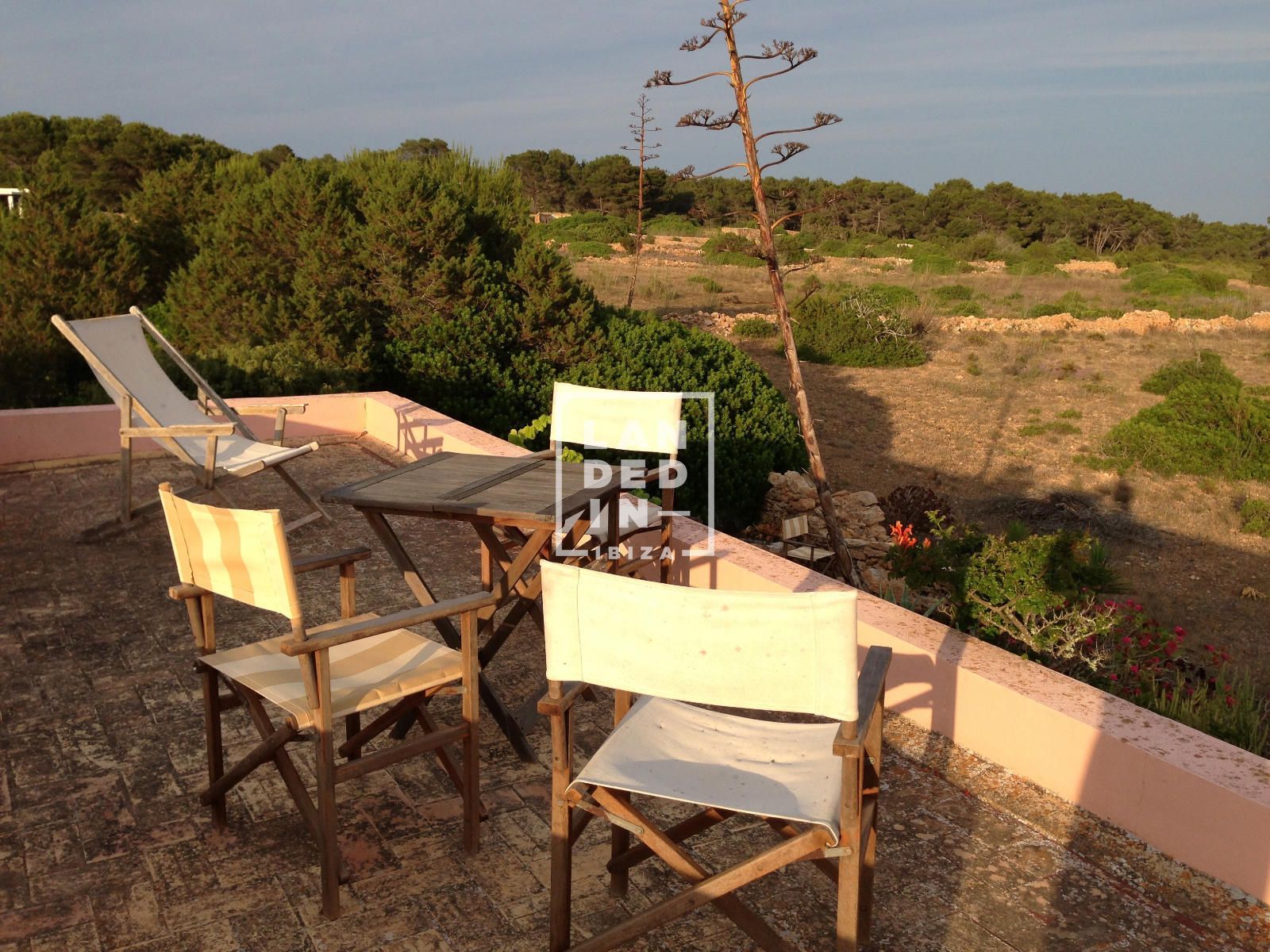 Imagen 20 del inmueble