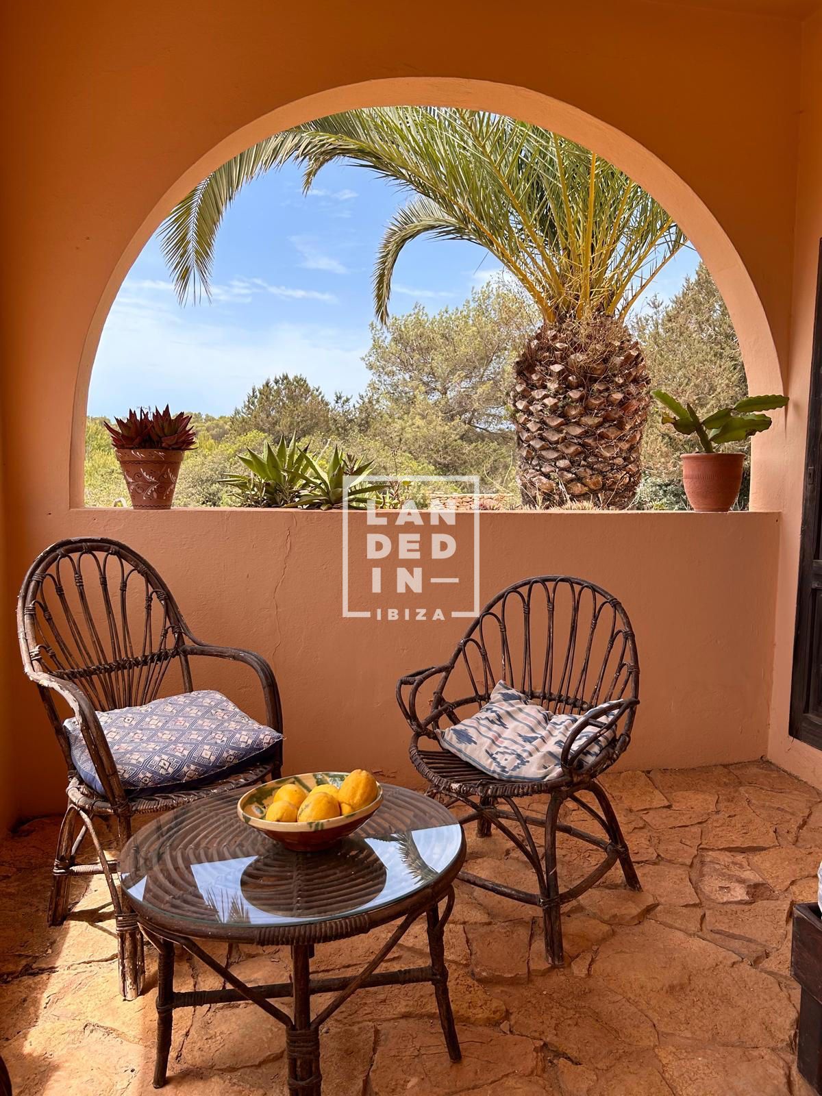 Imagen 5 del inmueble