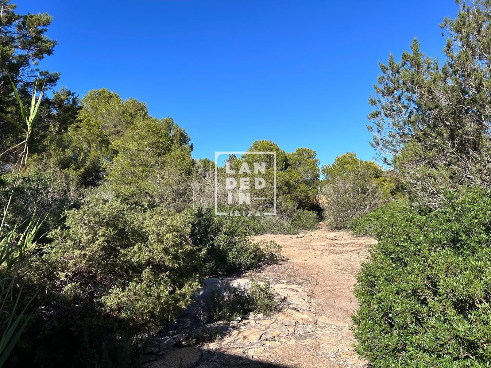 Imagen 26 del inmueble