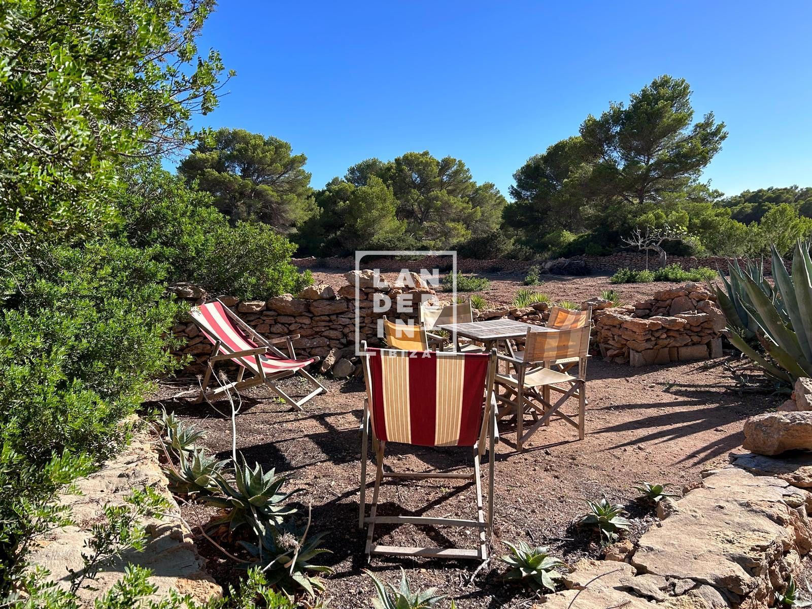 Imagen 22 del inmueble