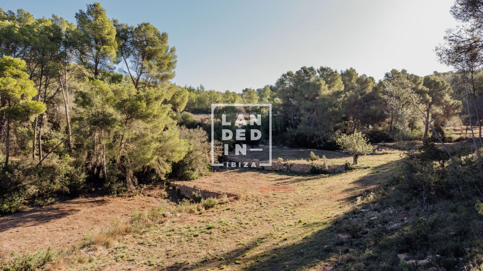 Imagen 15 del inmueble