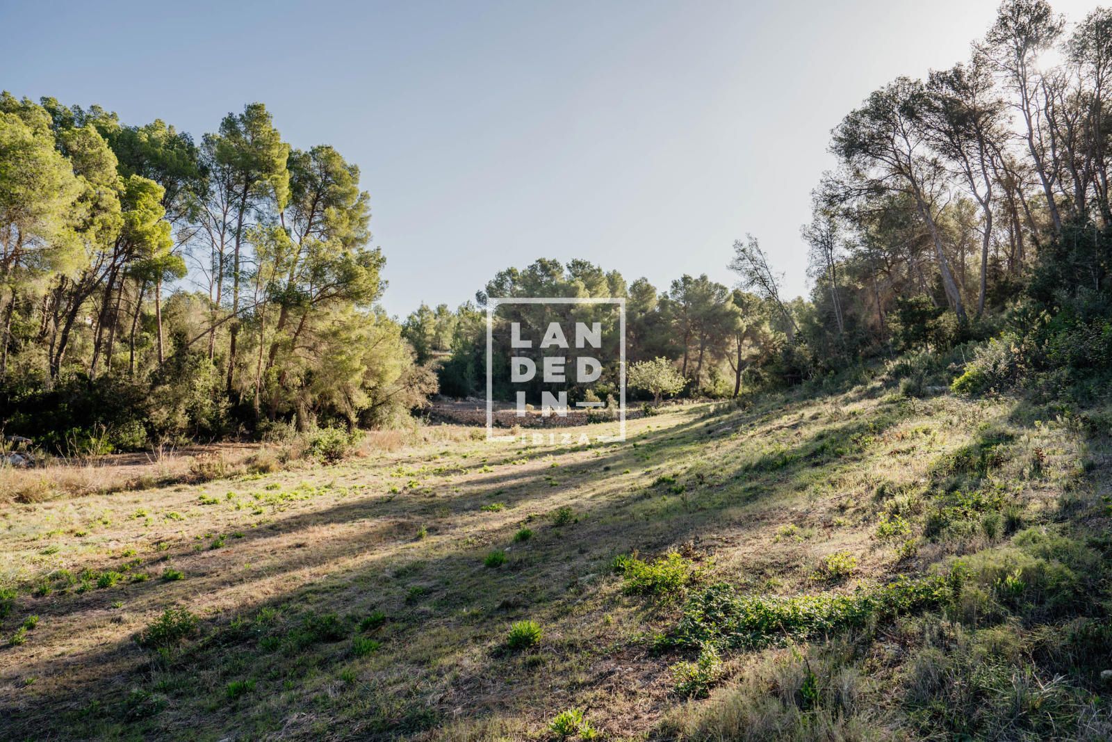 Imagen 16 del inmueble