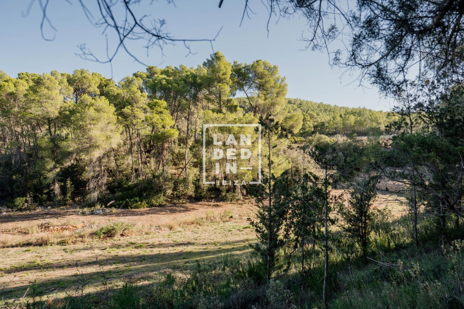 Imagen 18 del inmueble