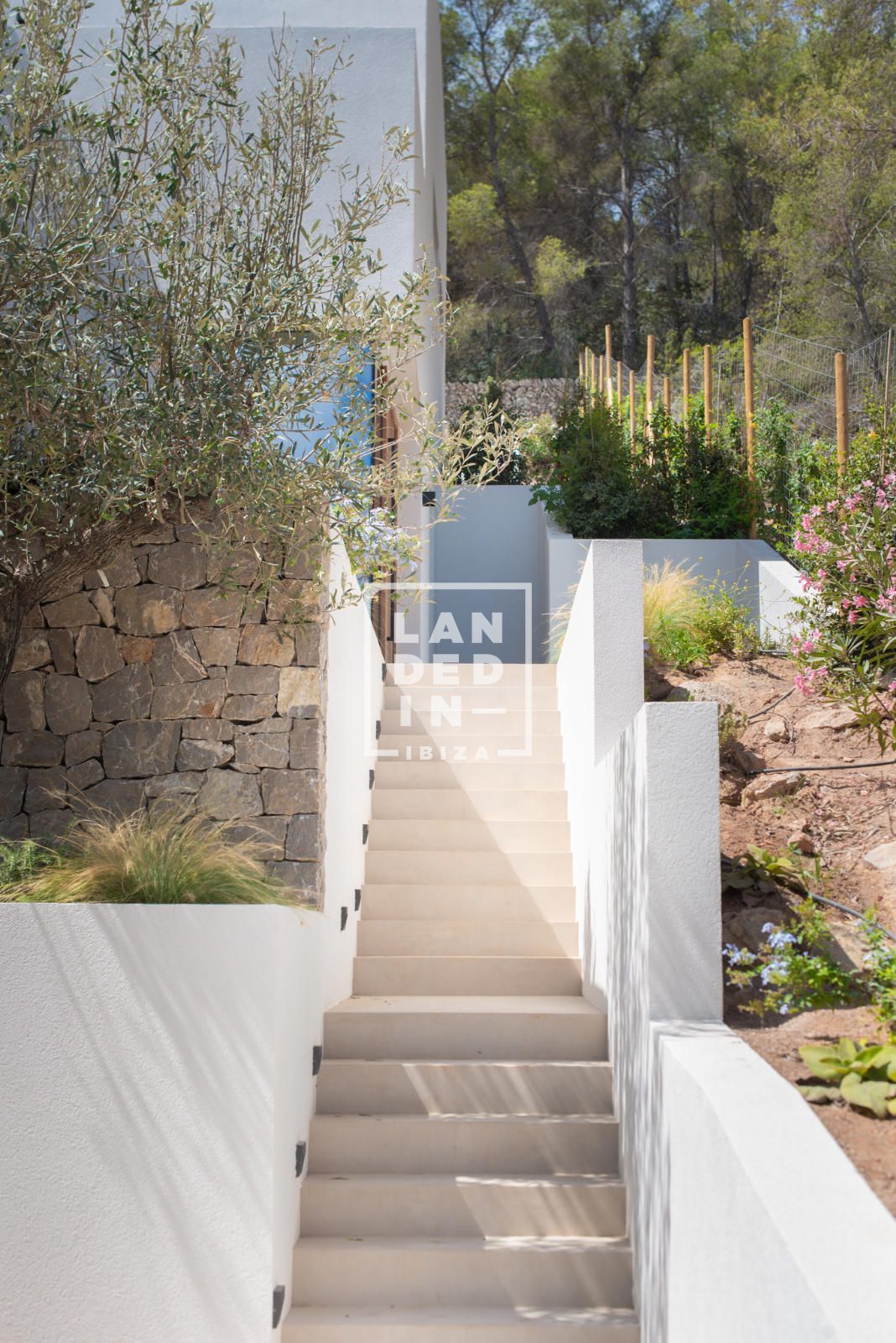 Imagen 18 del inmueble