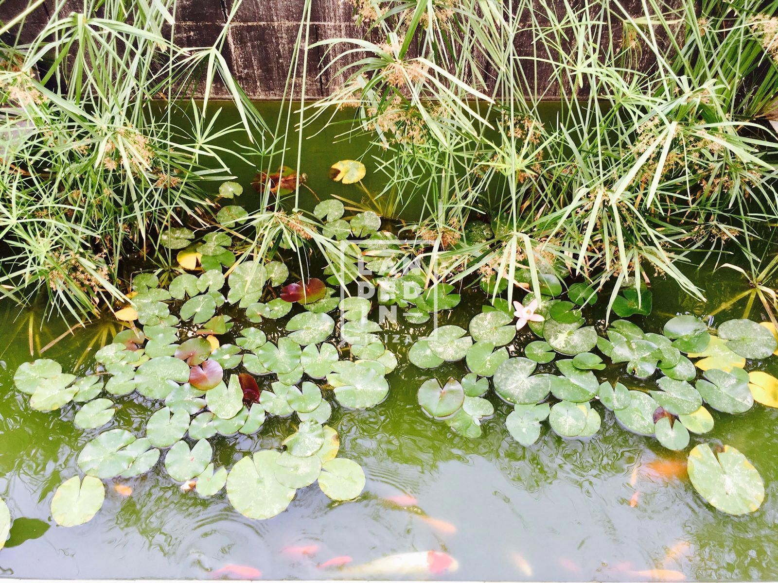 Imagen 32 del inmueble